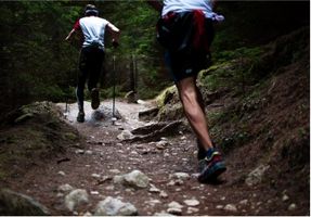 Trail de montagne
